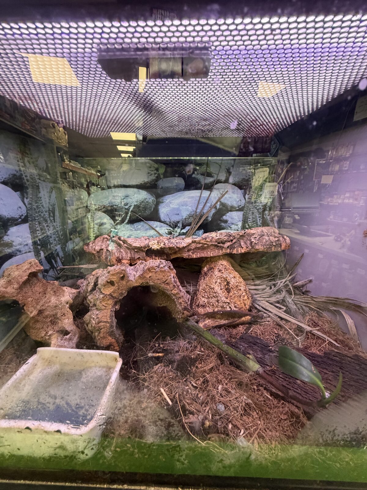 Fully-set terrariums